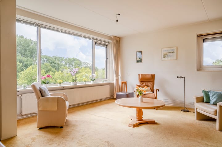 Foto 23 van Apollolaan 212