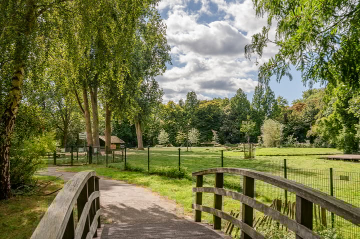 Foto 43 van Apollolaan 212