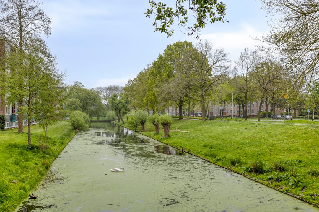 Photo 37 of Koning Wenzelstraat 25