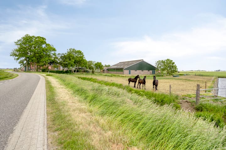 Foto 2 van De Kat 28