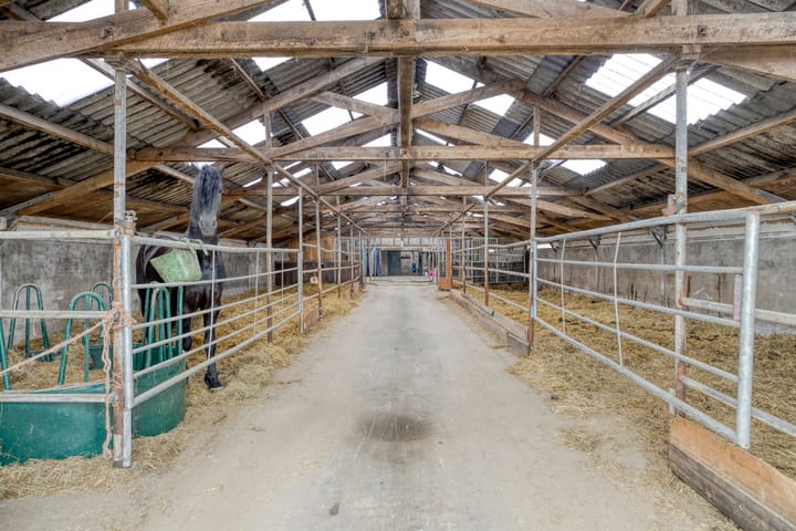 Foto 35 van De Kat 28