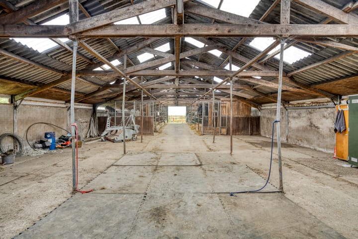 Foto 36 van De Kat 28