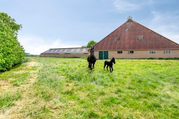 Foto 37 van De Kat 28