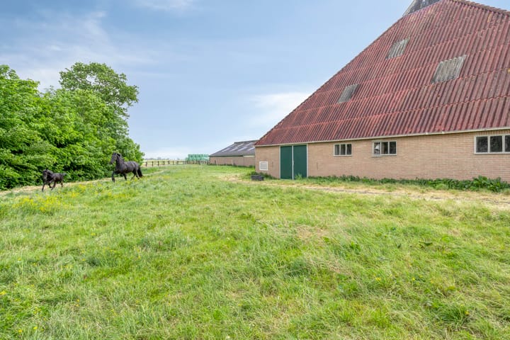 Foto 38 van De Kat 28