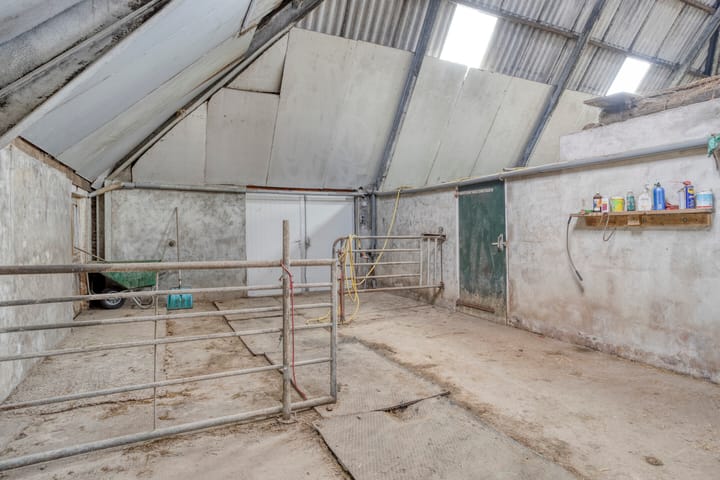 Foto 39 van De Kat 28