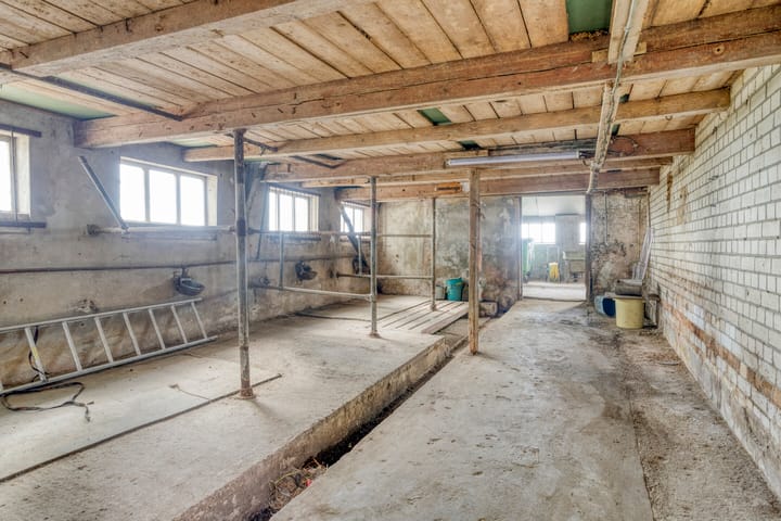 Foto 41 van De Kat 28