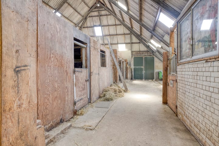 Foto 43 van De Kat 28