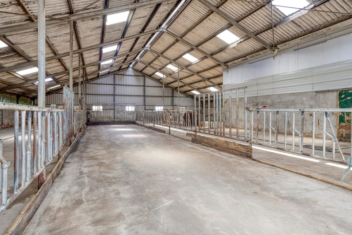 Foto 49 van De Kat 28