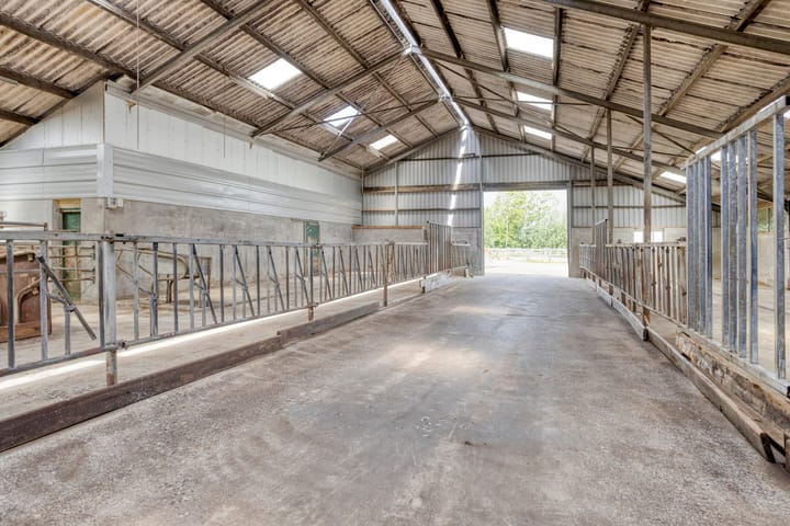 Foto 50 van De Kat 28