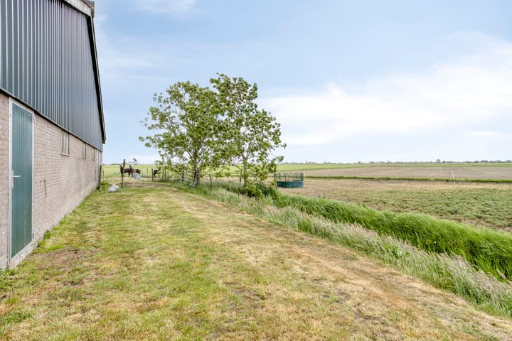 Foto 56 van De Kat 28