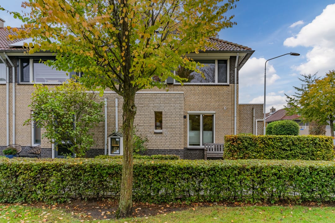 Foto 7 van Knikeind 2