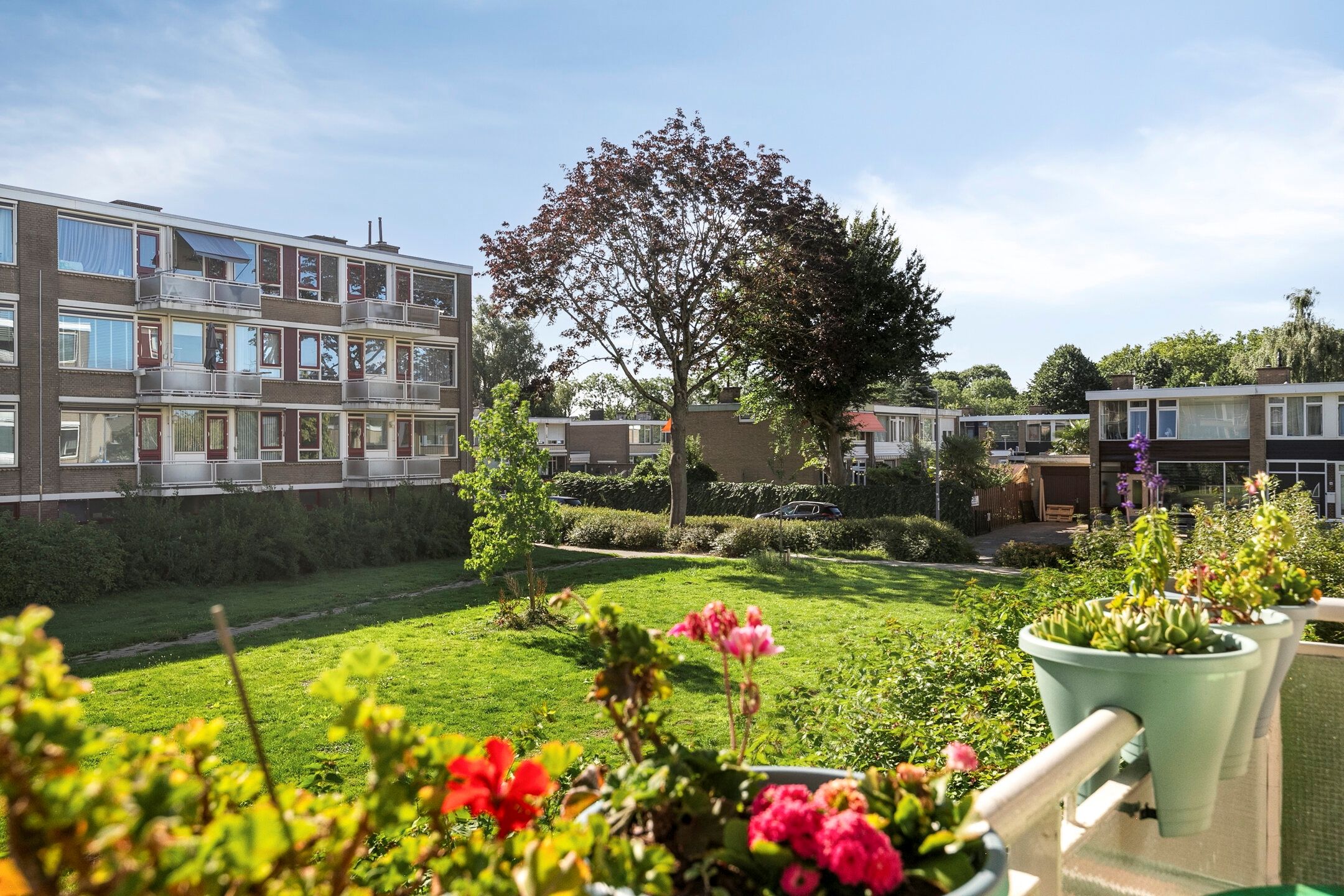 Foto 15 van Zandkreek 126