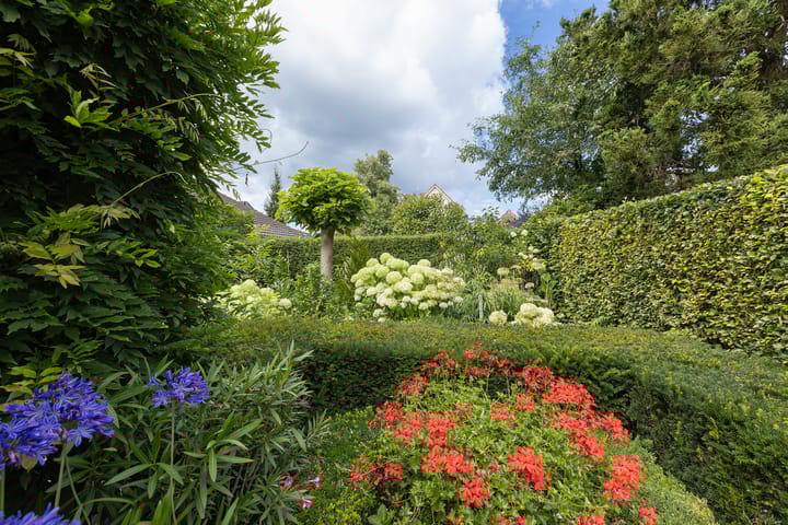 Photo 38 of De Dael 5