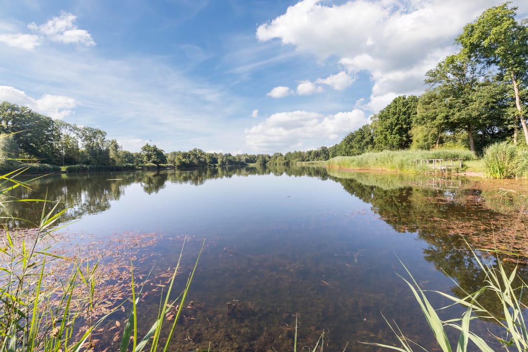 Photo 67 of Biezenbaan 7