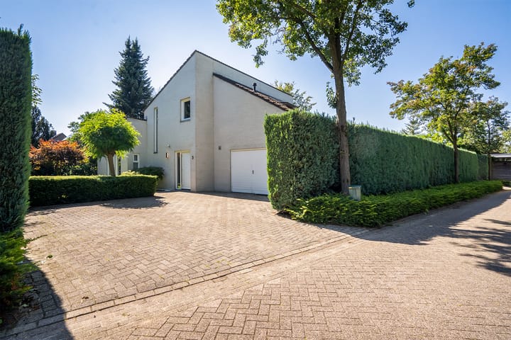 Foto 39 van Het Look 3