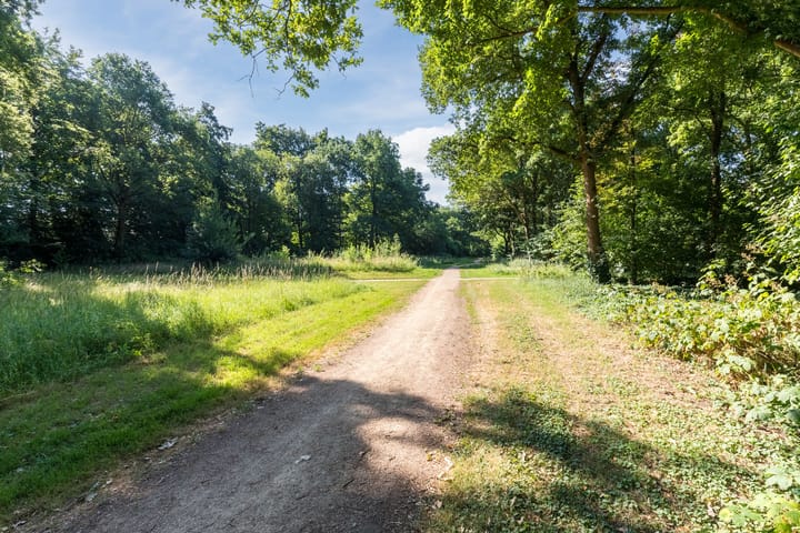 Foto 69 van Biezenbaan 7