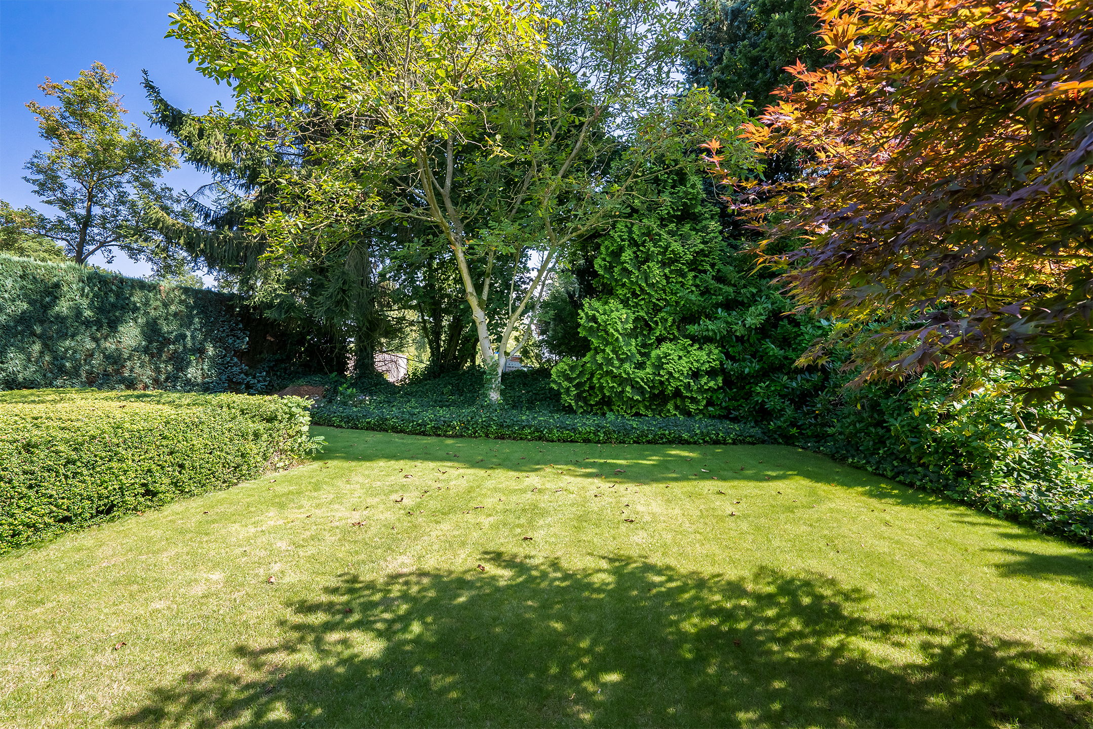 Foto 45 van Het Look 3