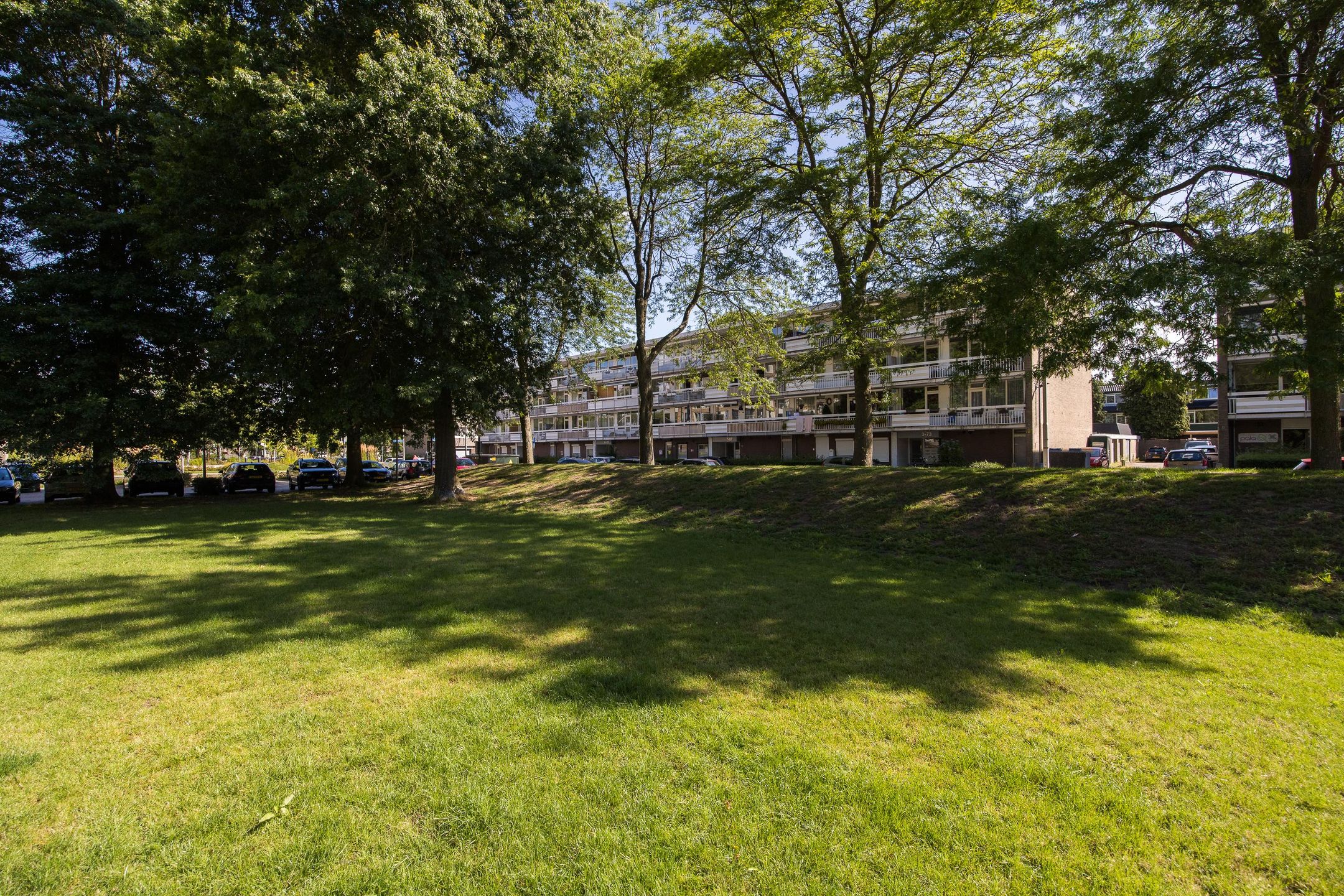 Foto 39 van Zangvogelweg 109