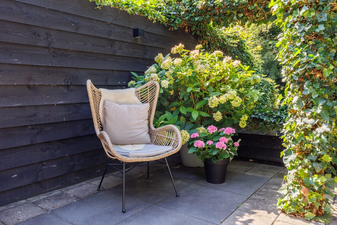 Photo 23 of Vechtsteen 35