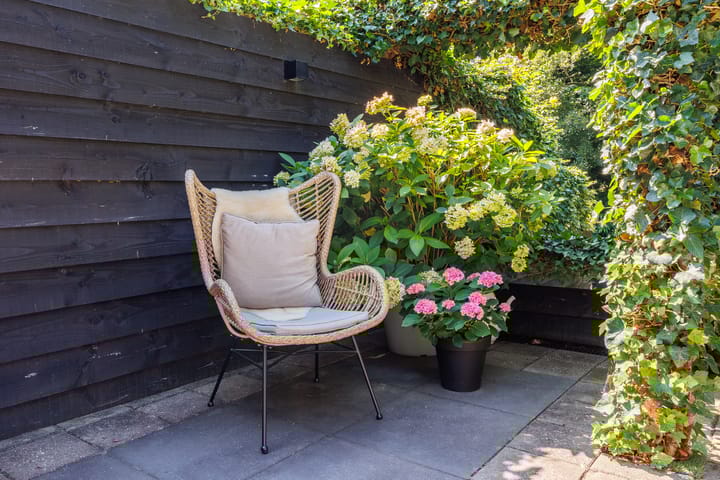 Foto 23 van Vechtsteen 35