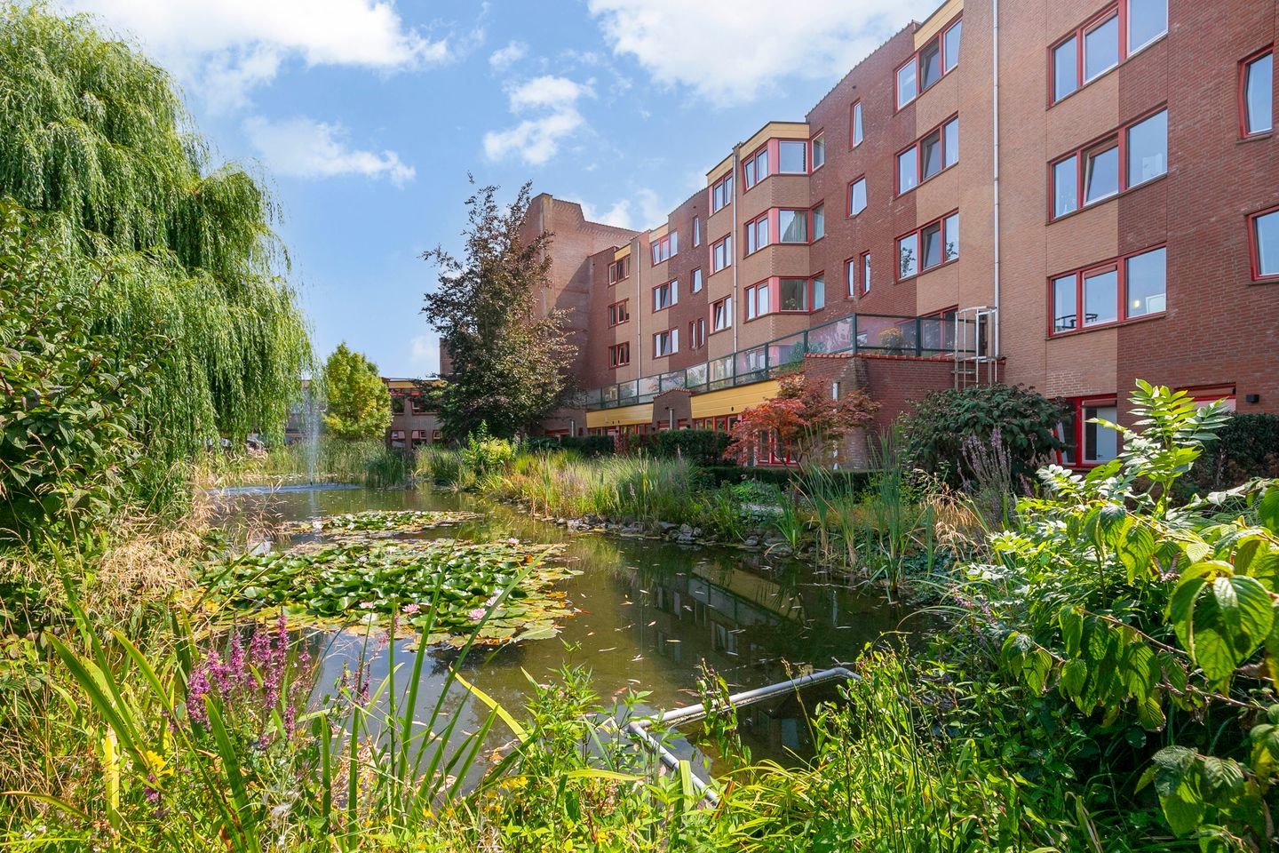 Foto 29 van Burgemeester Daalderopstraat 4-001