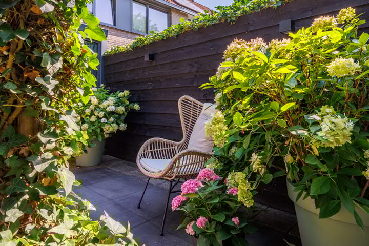 Foto 29 van Vechtsteen 35