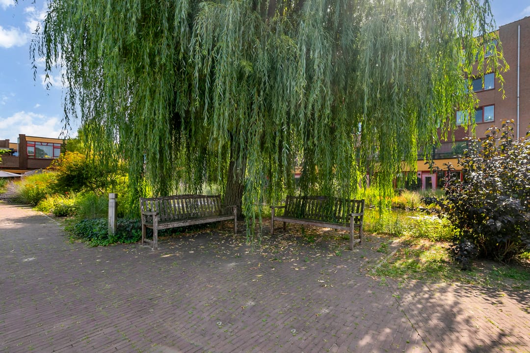 Foto 31 van Burgemeester Daalderopstraat 4-001