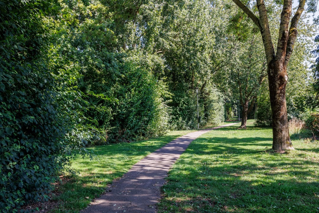 Photo 56 of Vechtsteen 35