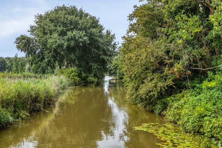 Foto 43 van Merijntje Gijzenburg 18