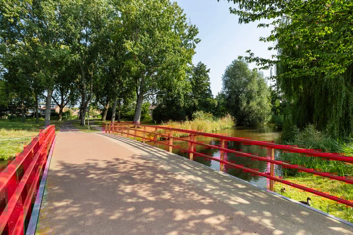 Foto 35 van Fonteinkruid 9