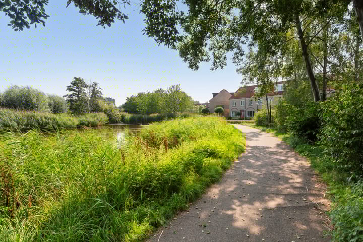 Foto 36 van Fonteinkruid 9