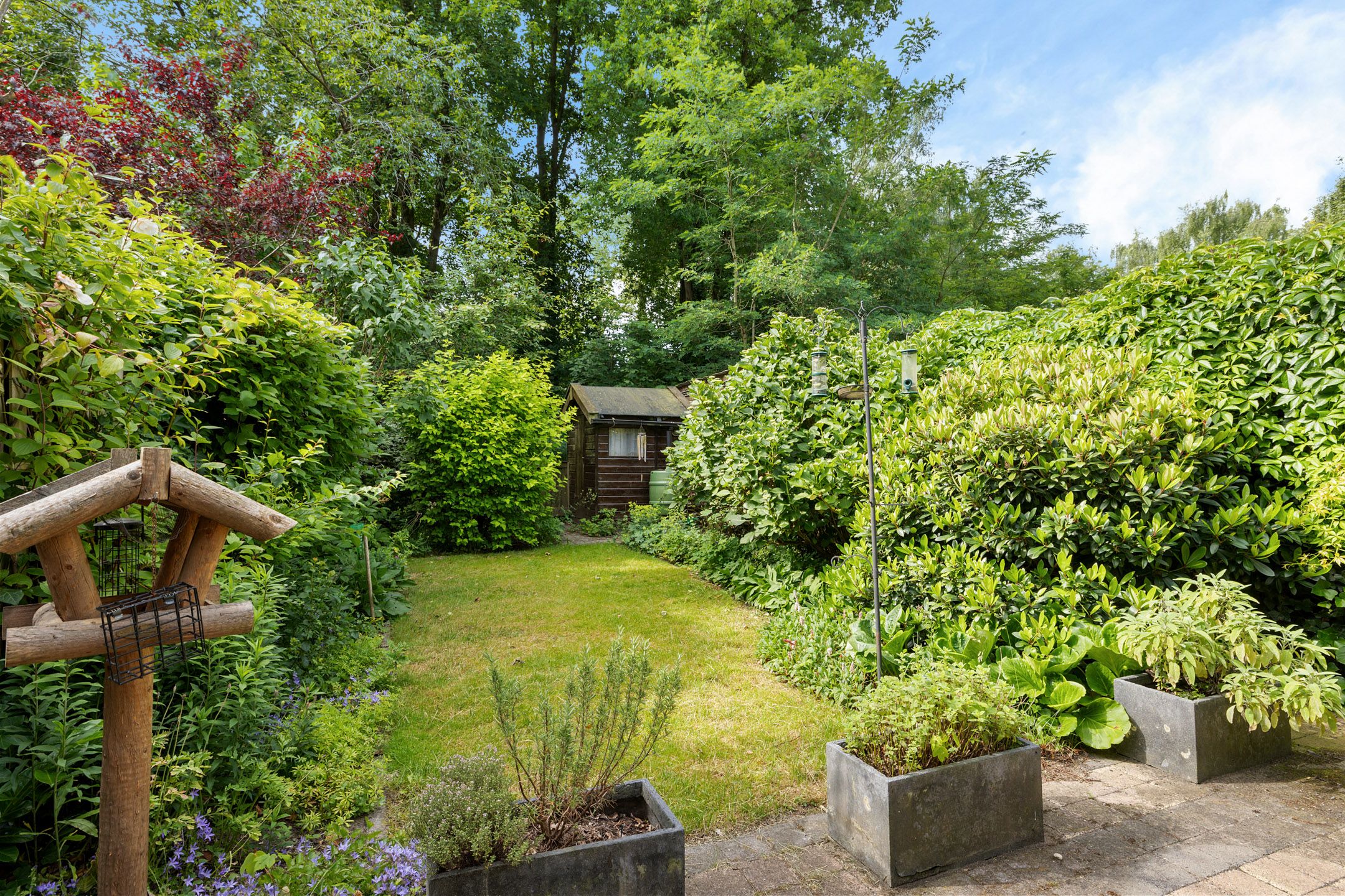 Foto 3 van Laan van het Kinholt 669