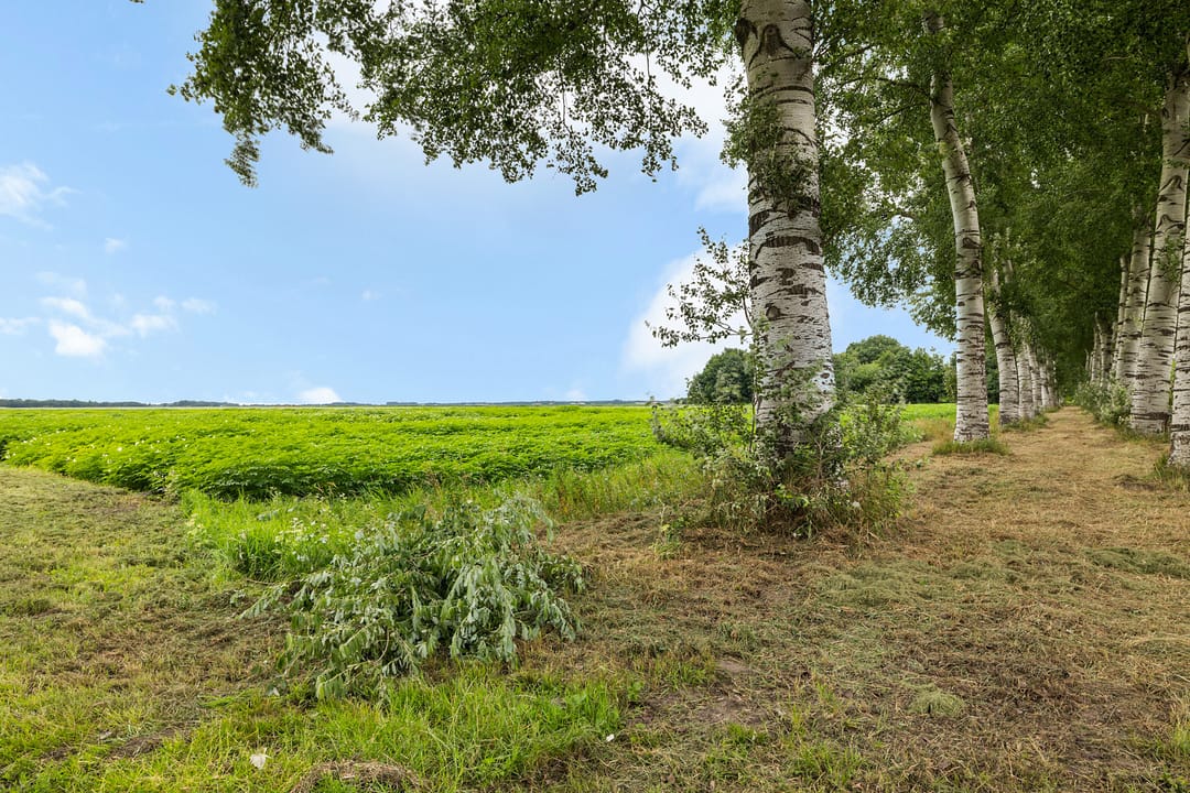 Foto 28 van Noorderdiep 10