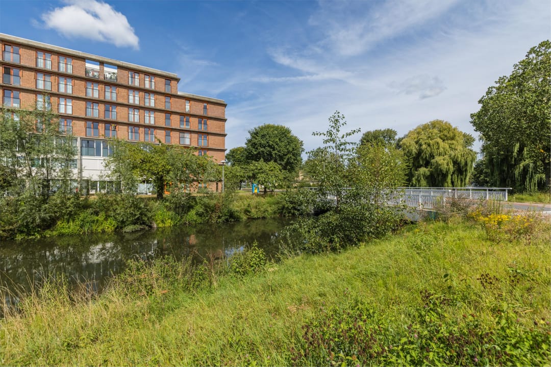 Foto 47 van Prinses Ireneplateau 54