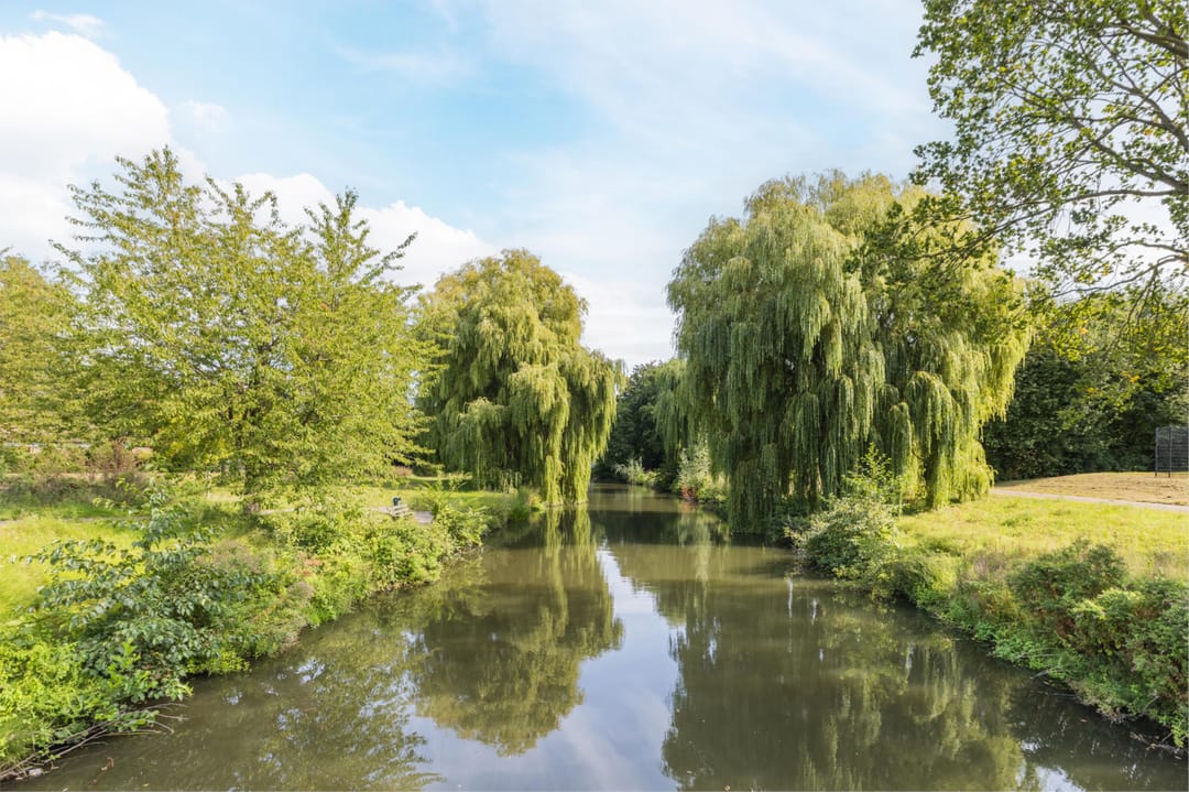 Foto 52 van Prinses Ireneplateau 54