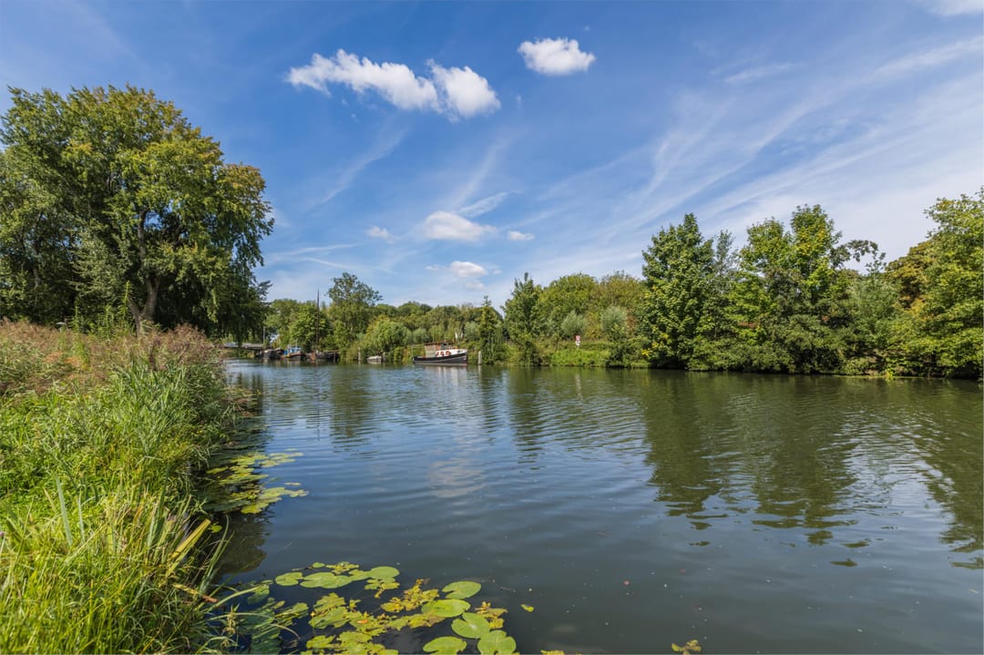 Foto 53 van Prinses Ireneplateau 54