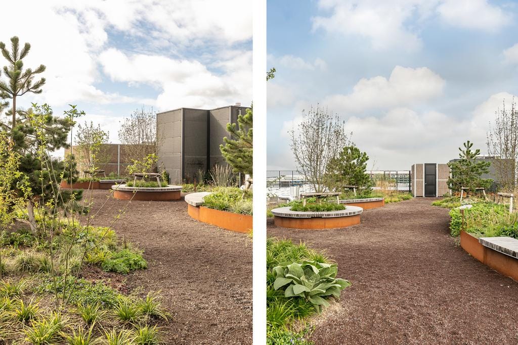 Foto 29 van Surinamepad 190