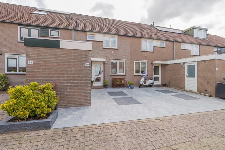 Arthur van Schendelplein 79