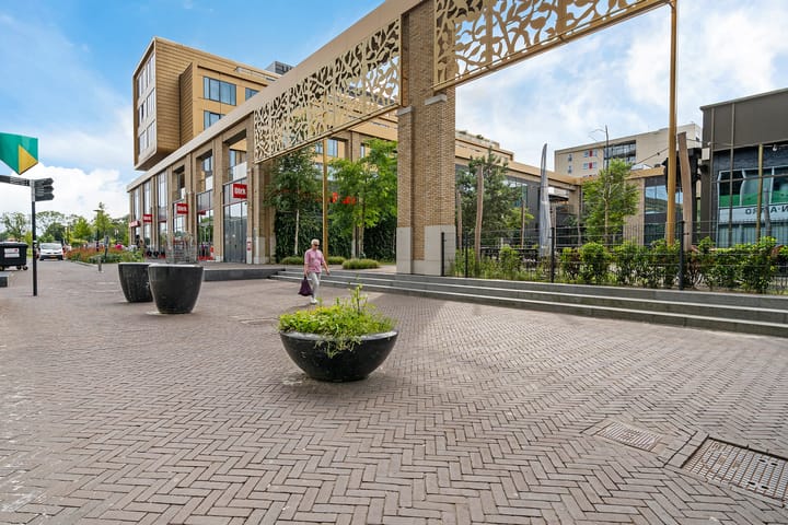 Photo 6 of Willinkplein 165