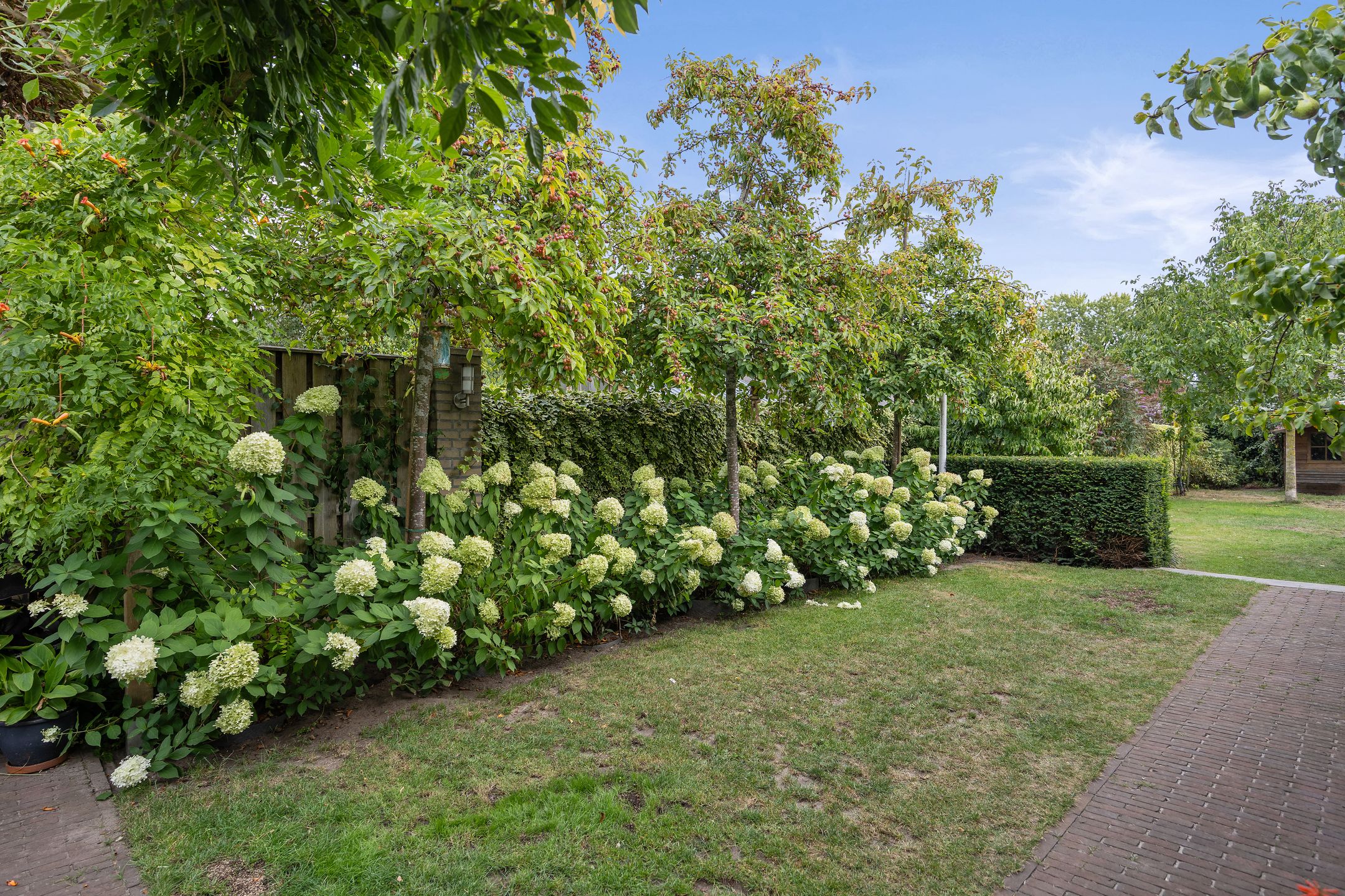 Foto 36 van Wilhelminastraat 33