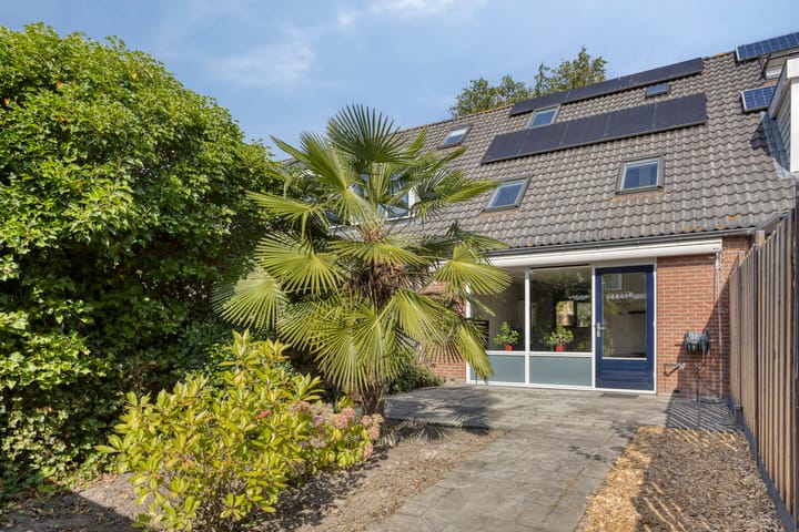 Foto 5 van Moesson 5