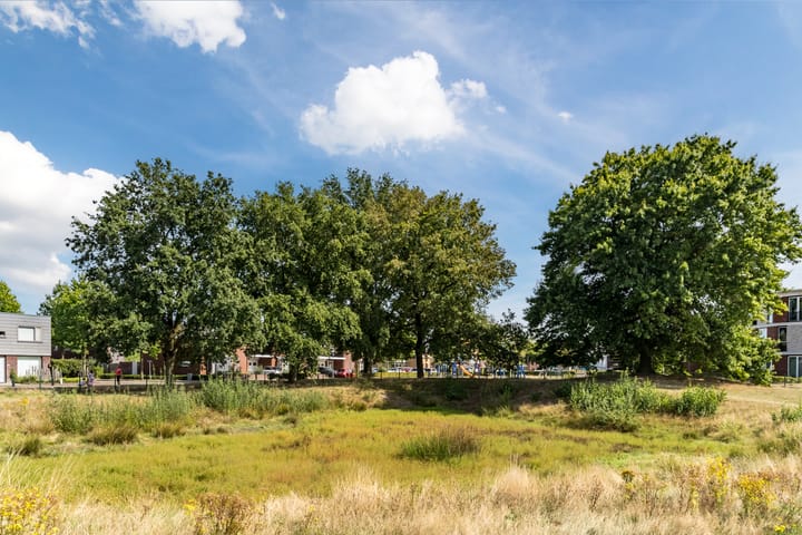 Photo 51 of Nachtegaal 43