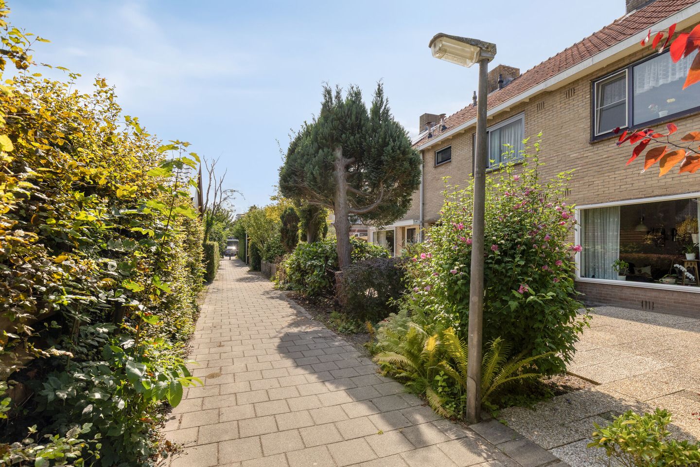 Foto 29 van J.P. Grootstraat 66