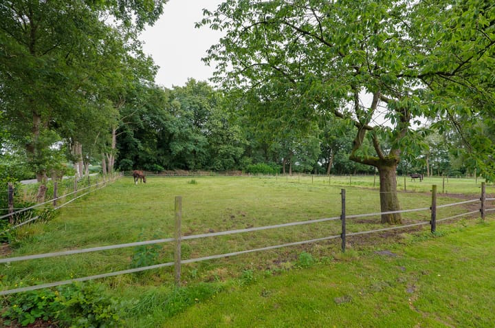 Photo 90 of Grenzweg 5