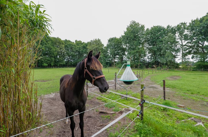 Photo 92 of Grenzweg 5