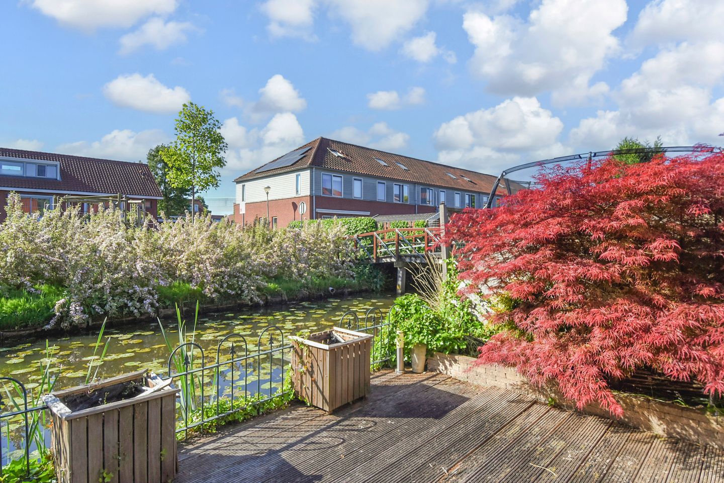 Photo 10 of Melkeppe 44