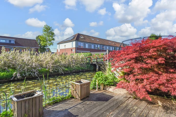 Photo 10 of Melkeppe 44