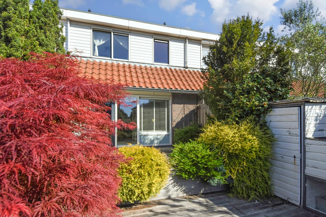 Photo 11 of Melkeppe 44