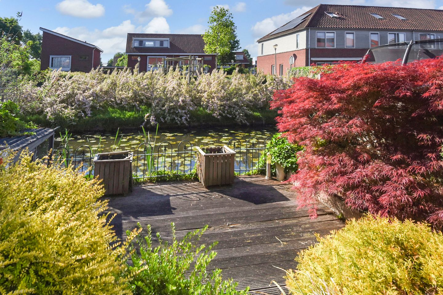 Photo 29 of Melkeppe 44