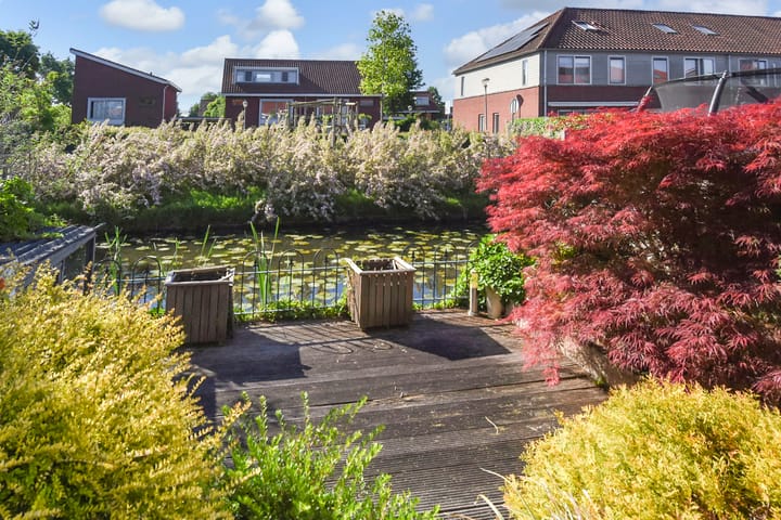 Photo 29 of Melkeppe 44